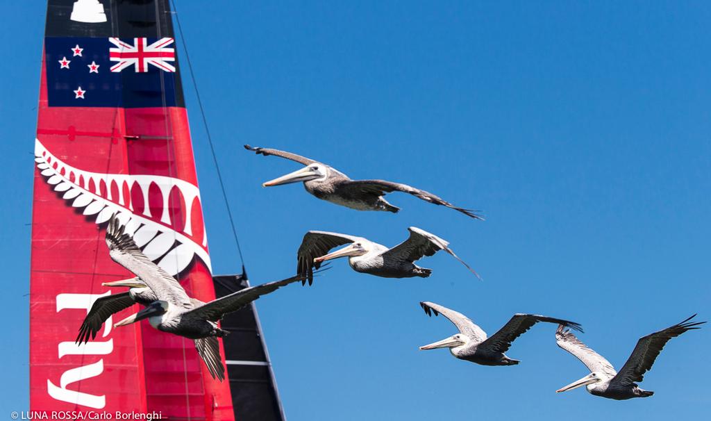 San Francisco <br />
34th America's Cup - <br />
America's Cup final <br />
Emirates Team New Zealand <br />
<br />
 © Carlo Borlenghi/Luna Rossa http://www.lunarossachallenge.com