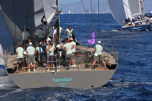 Hamilton - 2013 Les Voiles de St Tropez photo copyright Ingrid Abery http://www.ingridabery.com taken at  and featuring the  class