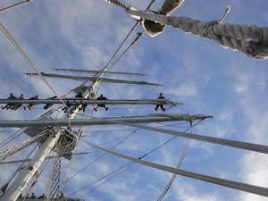 3. The crew lay aloft on the foremast. - Disabled Tall Ship sailing - Lord Nelson - Image: Philippa Williams photo copyright SW taken at  and featuring the  class