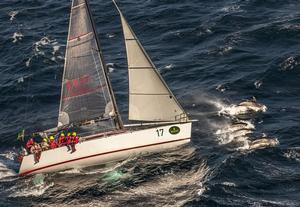 MINERVA with dolphins heading for Tasman Island - Rolex Sydney to Hobart 2013 photo copyright  Rolex/Daniel Forster http://www.regattanews.com taken at  and featuring the  class