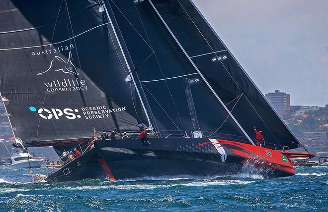 Comanche approaches the turning mark in the harbour © Crosbie Lorimer http://www.crosbielorimer.com