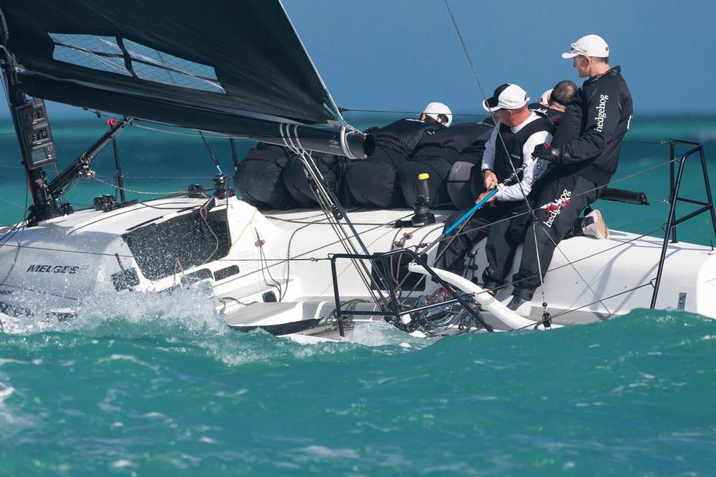 BER 1 - Hedgehog
Melges 32 World Championship Miami - Day 2 photo copyright Melges 32/Carlo Borlenghi taken at  and featuring the  class