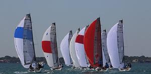 2014-15 Audi Melges 20 Miami Winter Series Event No. one. photo copyright  JOY | IM20CA taken at  and featuring the  class