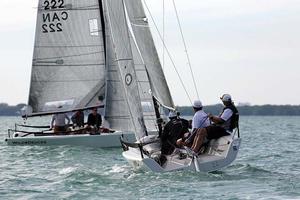 2014/2015 Audi Melges 20 Miami Winter Series, Event No. 1 photo copyright 2014 JOY | IM20CA taken at  and featuring the  class