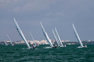87th Bacardi Cup fleet races upwind on Biscayne Bay photo copyright BNSW/Cory Silken taken at  and featuring the  class