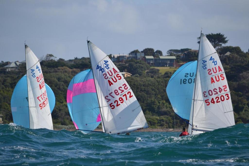 Very nice downwind rides back to Flinders - 420 Training in Big Conditions photo copyright Tim Grogan taken at  and featuring the  class