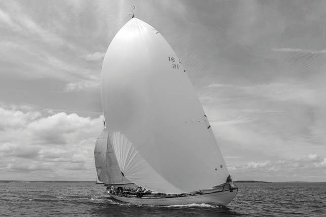 DORADE, Sail Number: 16, Owner/Skipper: Matt Brooks, Class: ORR - Navigators, Yacht Type: S&S 52, Home Port: Fremont, CA, USA  ©  Rolex/Daniel Forster http://www.regattanews.com