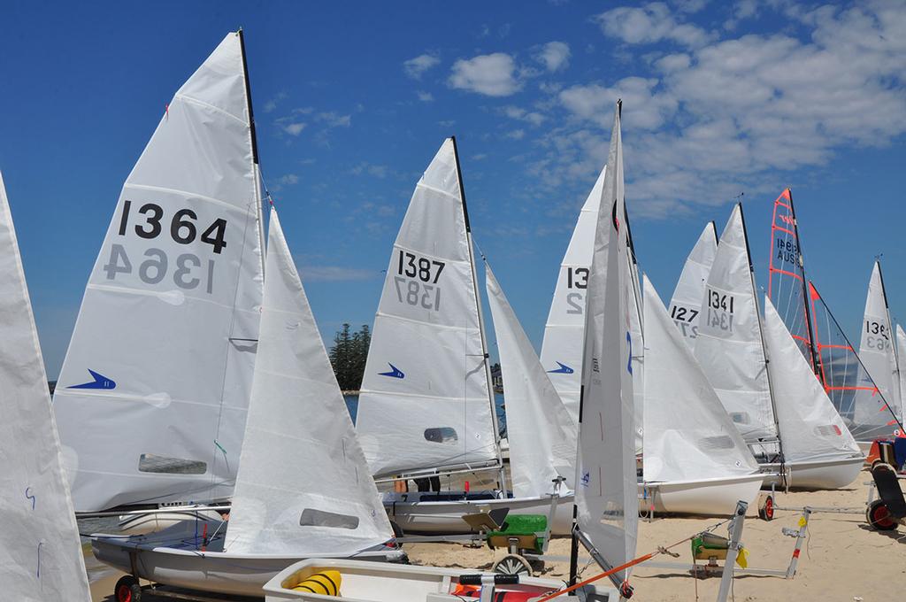 Flying 11s line up - NSW Youth Champs 2013 - 2014 Yachting New South Wales Youth Championships. © Robin Evans