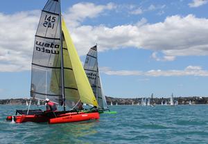 Racing in Torbay, Auckland photo copyright Myk Ryan taken at  and featuring the  class