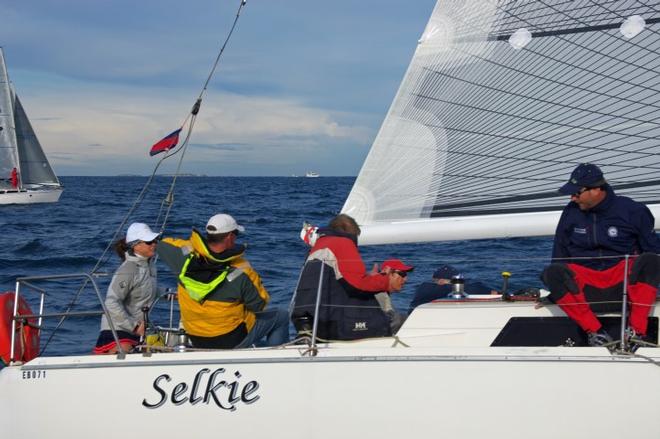 A new look at skirting. Alison Stock with Selkie. © Rick Steuart