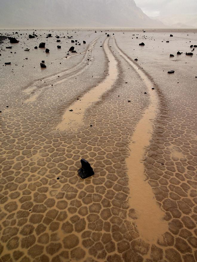 Parallel trails carved in the wet, mud-cracked surface of the playa. © Jim Norris