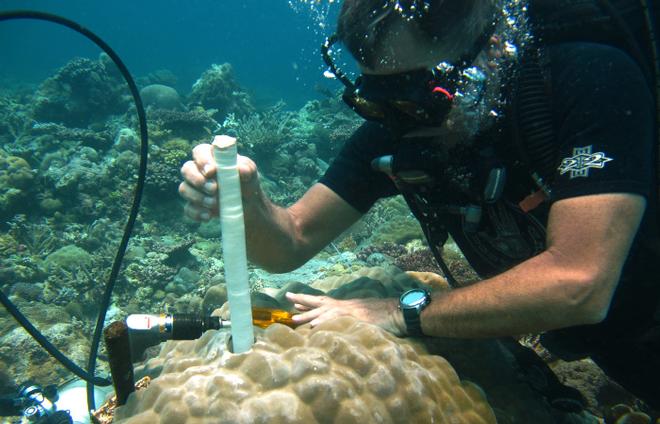 WHOI diver Pat Lohmann extracts a cylinder of coral skeleton. The coring does not harm the coral and the sample is later analyzed back in laboratories on shore. © Anne Cohen, Woods Hole Oceanographic Institution