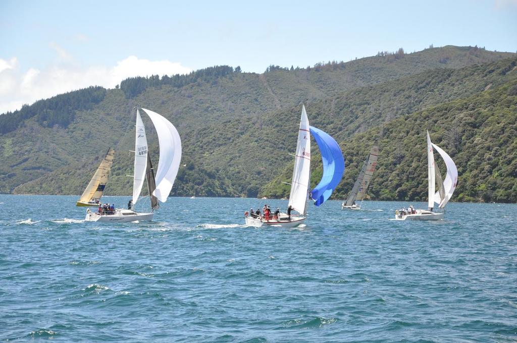 The downwind leg - Lawson's Dry Hills New Year Regatta Waikawa Boating Club © Tom van der Burgh