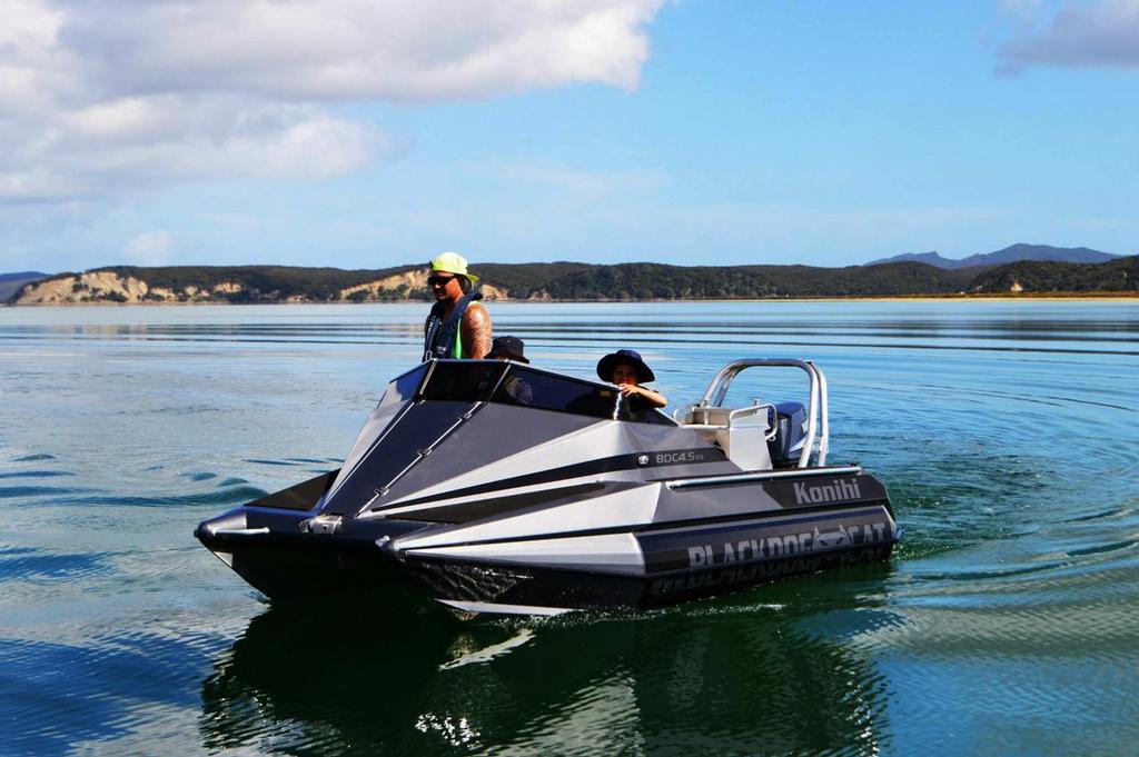 Black Dog Cat - 2014 Auckland On Water Boat Show © SW