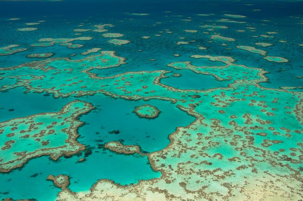 The Great Barrier Reef is a tourism magnet photo copyright SW taken at  and featuring the  class