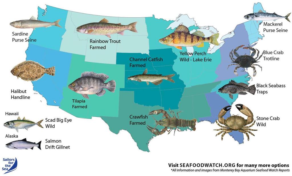 A map of local and sustainable seafood options by region. © Hilary Kotoun