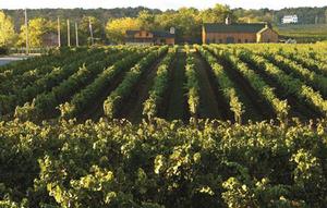 Hidden Bench Winery - Niagara-on-the-Lake, a popular cruising destination in Canada photo copyright The Galley Guys taken at  and featuring the  class