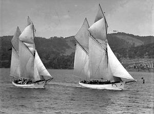 Trading ketches racing in the Huon Regatta circa 1894. photo copyright The Mercury taken at  and featuring the  class
