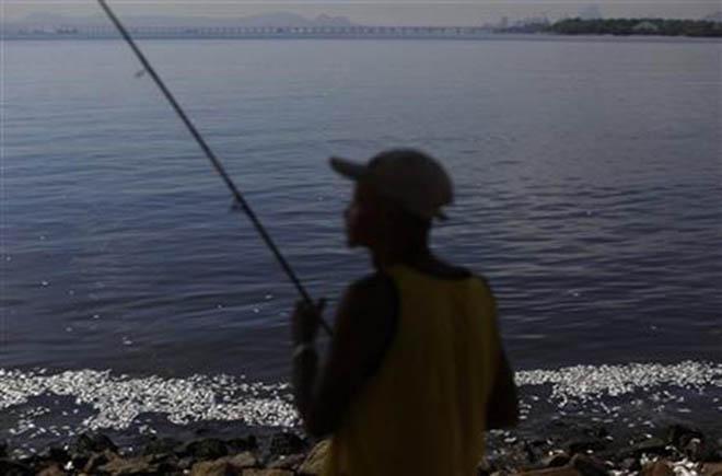 The Flavio Rodrigues, a retired rail worker, fishes on the shore of Guanabara Bay where dead fish float in Rio de Janeiro, Brazil, Wednesday, Feb. 25, 2015. Rio de Janeiroís state environmental agency is trying to determine why thousands of dead fish have been found floating where next yearís Olympic sailing events are to be held. © Leo Correa