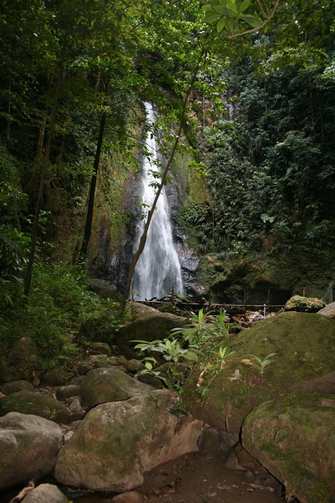 Although Dominica boasts many spectacular falls throughout the island, it was a pretty quick hike to Syndicate Falls, crossing the river twice on the way there and twice on the way back. Having wobbly ankles, I wasn’t terribly fond of the frequent clambering over slippery rocks but I persevered. - Dominica By Elizabeth A. Kerr © Elizabeth A Kerr