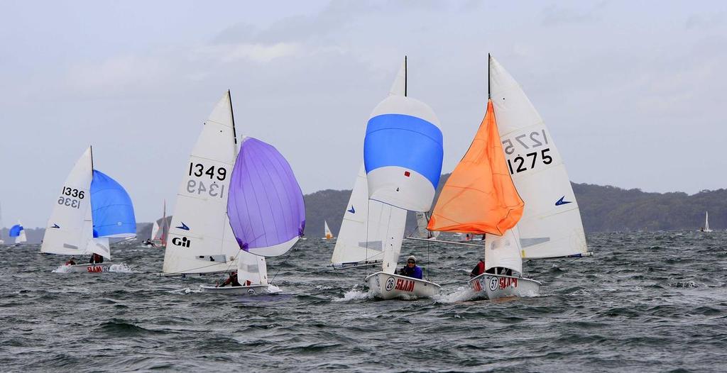 F11s approaching the leeward mark in Race 3. photo copyright Chris Munro taken at  and featuring the  class