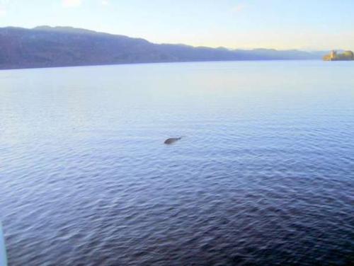 Loch Ness Monster Evidence — Lost? ©  SW