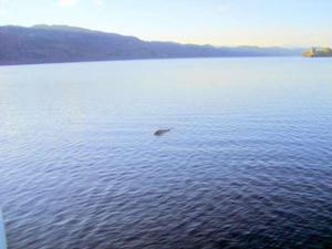 Loch Ness Monster Evidence — Lost? photo copyright  SW taken at  and featuring the  class