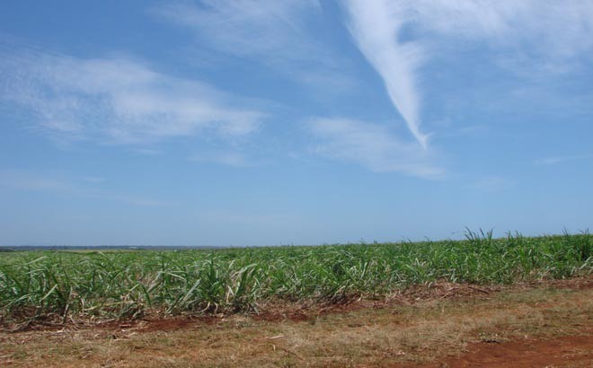 Wide Sugar Plains seem to go on forever © BW Media