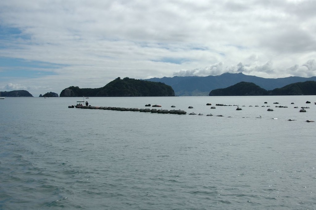 Mussel farm on the prime cruising ground off the Coromandel coast - a farm in this area is illegal and has been so for 10 years. photo copyright Christine Hansen taken at  and featuring the  class