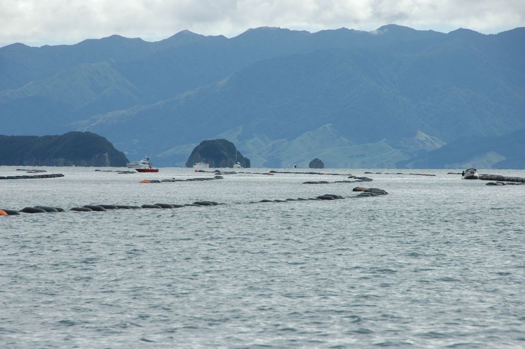 Mussel farm off Coromandel, Hauraki Gulf the Government&rsquo;s objective is to take four times the current area for sea farming photo copyright Christine Hansen taken at  and featuring the  class