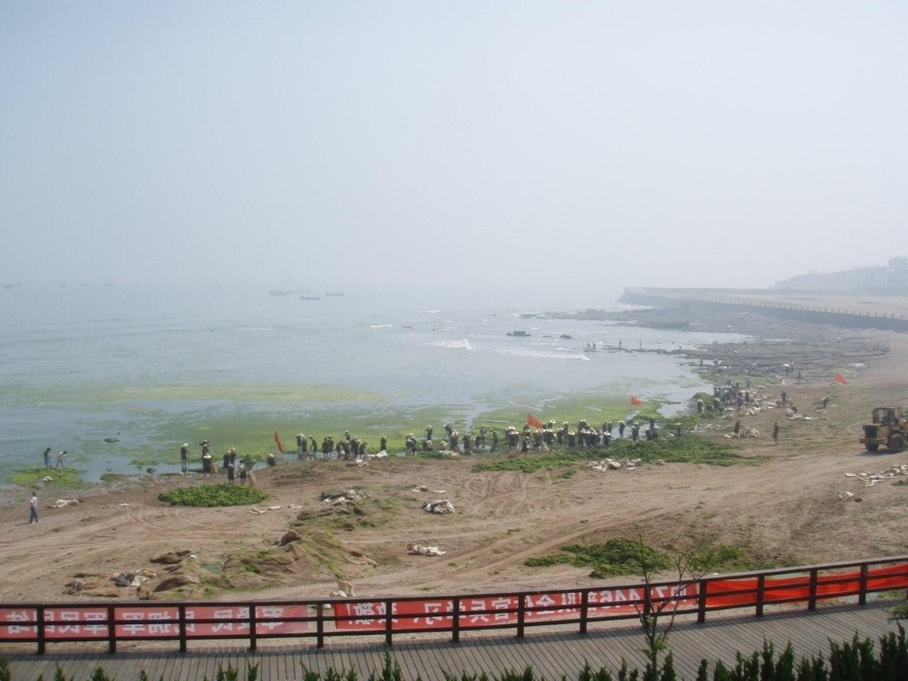 Earlier photo of the algae clean up underway in Qingdao photo copyright Burling Media taken at  and featuring the  class