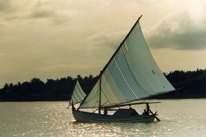Skipjack traditional sailing boat photo copyright SW taken at  and featuring the  class