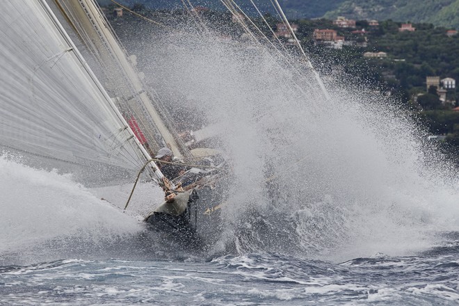 SHAMROCK V, Sail n: JK3, Class: J CLASS, Owner: SHAMROCK V Ltd - Portofino Rolex Trophy ©  Rolex / Carlo Borlenghi http://www.carloborlenghi.net