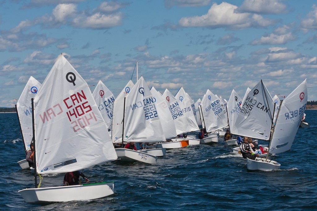 A very crowded start line for the Championship flight - 2011 Canadian Optimist Championships © Sackville Photography Club
