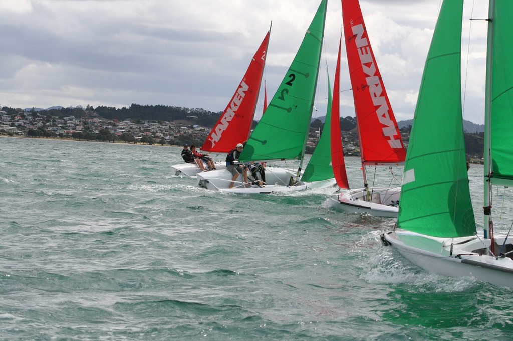 Harken Schools Teams Racing Auckland Cup photo copyright Daniel Johnston taken at  and featuring the  class