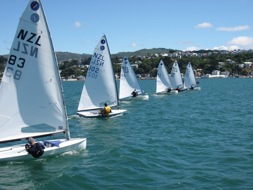 Day 3 - Line up for the start - Europe Class 2011 New Zealand Championships photo copyright Tony Brown taken at  and featuring the  class
