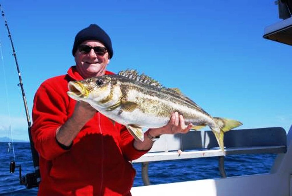 Stripey - Fishing around Tasmania photo copyright Carl Hyland taken at  and featuring the  class