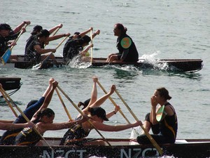 DSC00172 - NZCT Dragon Boat Festival, Wellington photo copyright Genevieve Howard taken at  and featuring the  class