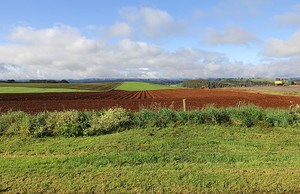 The fields of the area provide much of Australia's vegetables. Awesome soil. - Hutchwilco Melbourne to Stanley photo copyright  John Curnow taken at  and featuring the  class