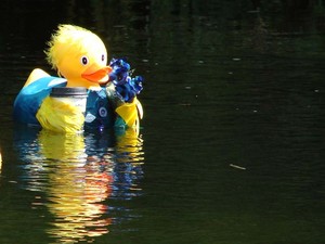 A corporate entrant at the start of the fourth Great NZ Englefield Charity Duck Race. - The Great NZ Englefield Charity Duck Race photo copyright Genevieve Howard taken at  and featuring the  class