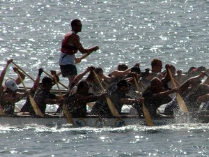 DSC00203 - NZCT Dragon Boat Festival, Wellington photo copyright Genevieve Howard taken at  and featuring the  class