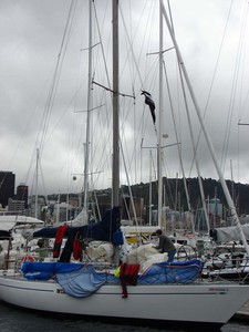 Competitors in the SSANZ Round the North Island race spent Tuesday preparing their yachts ahead of the start of the third leg tomorrow. The yachts are moored in Wellington's Oriental Bay. - SSANZ Round the North Island photo copyright Genevieve Howard taken at  and featuring the  class