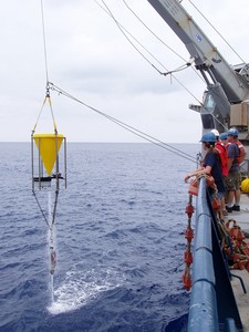 The lead author, Diane K Adams (foreground), helps the crew of the R/V Atlantis haul in one of the moorings equipped with current meters and a time series sediment trap (shown here) whose contents revealed the unexpected influence of eddies on the transport of hydrothermal vent chemicals and biology. photo copyright Woods Hole Oceanographic Institution (WHOI) http://www.whoi.edu/ taken at  and featuring the  class