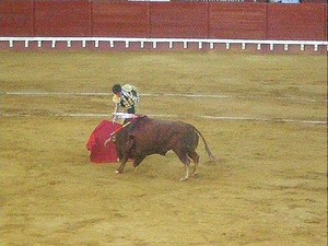 Balvenie bullfight almost at an end photo copyright  SW taken at  and featuring the  class
