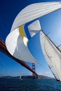 1929 M class sloop Pursuit sailing under the golden gate bridge in San Francisco on a Sunday race in mid September. Ron has owned the boat since 1961 and this is only the second time the spinnaker has been up since the 1969 Transpac.    Photo credit to read WWW.OUTSIDEIMAGES.COM or a 50 Euro fee is charged photo copyright Tom Zinn/www.OutsideImages.com http://www.outsideimages.com taken at  and featuring the  class