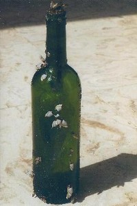 bottle photo copyright Zbigniew Raczynski taken at  and featuring the  class