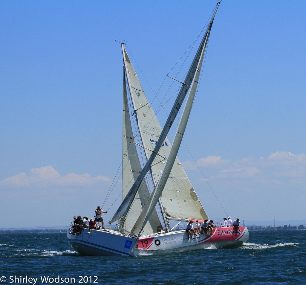38 Degrees South and Another Challenge. - Festival of Sails. photo copyright Shirley Wodson taken at  and featuring the  class
