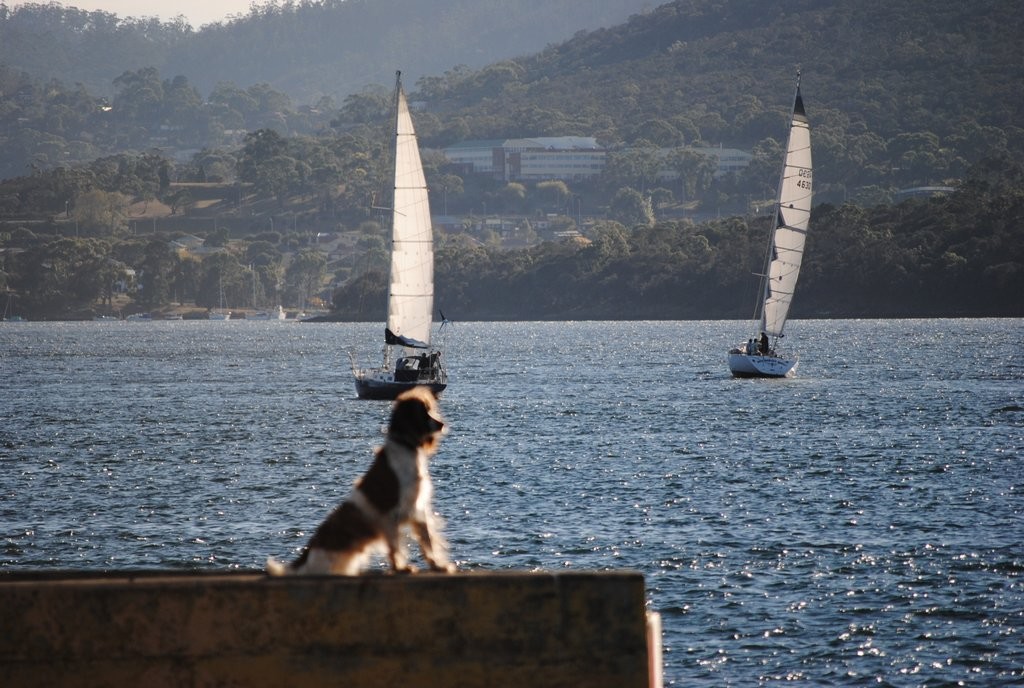 Dog Watch before the start of the Barnes Bay Regatta passage race from Hobart’s Castry Esplanade - Barnes Bay Regatta 2012 photo copyright Rob Cruse taken at  and featuring the  class