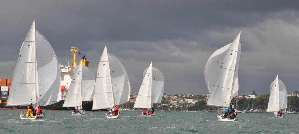 2012 Champion of Champions - Photo by Suellen Hurling photo copyright Royal Akarana YC taken at  and featuring the  class