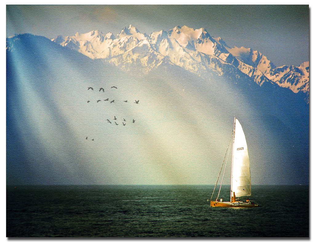 Vancouver Island sailing photo copyright  SW taken at  and featuring the  class